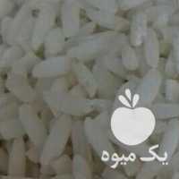 فروش برنج علی کاظمی در رشت در گروه خرید فروش عمده برنج - نیم دانه عنبر بو هاشمی کاظمی هندی پاکستانی در یکمیوه