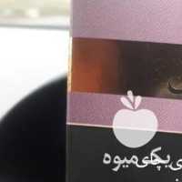 فروش چای 100 گرمی دبش در رشت در گروه خرید فروش عمده چای - سبز ترش کوهی سیاه در یکمیوه