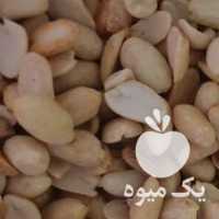 فروش مغز بادام زمینی بادام تلخ تخمه در تهران در گروه انواع روغن - آفتابگردان کنجد سویا در یکمیوه