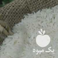 فروش برنج هاشمی گیلان در رشت در گروه خرید فروش عمده برنج - نیم دانه عنبر بو هاشمی کاظمی هندی پاکستانی در یکمیوه