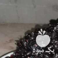 فروش زرشک کوهی جزعی وعمد اب زرشک موثربرای انوای بیماری در تهران در گروه خرید فروش عمده ازگیل و تمشک و زرشک - ژاپنی فروش مستقیم در یکمیوه