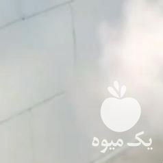 فروش مه ساز التراسونیک گلخانه زعفران وسالن قارچ ونساجی در تهران در گروه خرید فروش عمده زعفران - قائنات قیمت خراسان بهرامن گرم در یکمیوه -عکس1