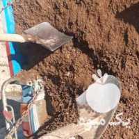 فروش کود گوسفندی بانسیان سراسر کشور در اصفهان در گروه خرید فروش کود و مواد شیمیایی - اوره پتاس مرغی کمپوست آهن در یکمیوه