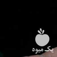 فروش برنج علی کاظمی در رشت در گروه خرید فروش عمده برنج - نیم دانه عنبر بو هاشمی کاظمی هندی پاکستانی در یکمیوه