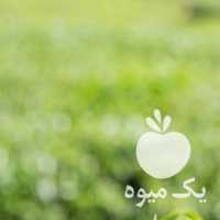 فروش چای بهاره 1400 لاهیجان در گیلان در گروه خرید فروش عمده چای - سبز ترش کوهی سیاه در یکمیوه