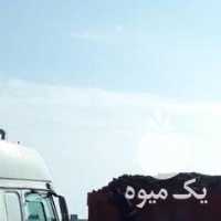 فروش کود گاو مرغ گوسفندی و مرغی در شیراز در گروه خرید فروش کود و مواد شیمیایی - اوره پتاس مرغی کمپوست آهن در یکمیوه