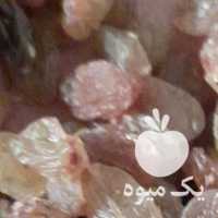 فروش کشمش پلویی کارتنی صادراتی بی دانه در تهران در گروه آجیل - فروش عمده محصولات در یکمیوه