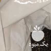 فروش چای چایی خارجی سعدالدین اصل 444 در تهران در گروه خرید فروش عمده چای - سبز ترش کوهی سیاه در یکمیوه