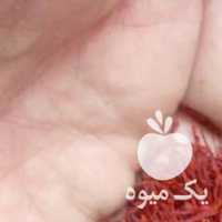 فروش زعفران سرگل قاعنات وهل در مشهد در گروه خرید فروش عمده زعفران - قائنات قیمت خراسان بهرامن گرم در یکمیوه