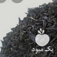 فروش چای لاهیجان در تهران در گروه خرید فروش عمده چای - سبز ترش کوهی سیاه در یکمیوه
