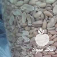 فروش بادام زمینی وخلال کره گیری در آستانه اشرفیه در گروه بادام - درختی کوهی زمینی فروش عمده در یکمیوه
