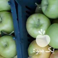 فروش سیب گلاب در ارومیه در گروه خرید فروش عمده سیب - زرد و قرمز گلاب پاییزه در یکمیوه