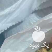 فروش پسته گردو پودرنارگیل بادام هندی ثعلب بادام خشکبار در تهران در گروه بادام - درختی کوهی زمینی فروش عمده در یکمیوه