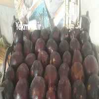 بارفروشی خالق پناه تهران در گروه حق العمل کاری محصولات کشاورزی و دامداری خدمات کارمزد در یکمیوه