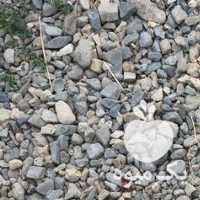 فروش سیب گلابی در ارومیه در گروه خرید فروش عمده سیب - زرد و قرمز گلاب پاییزه در یکمیوه