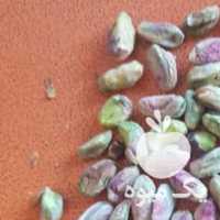 فروش مغزپسته بادام هندی لپه مغزگردو بادام مغزتخمه انجیر در تهران در گروه آجیل - فروش عمده محصولات در یکمیوه