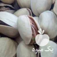 فروش پسته در یزد در گروه پسته - کوهی شامی خام اکبری تازه کله قوچی در یکمیوه