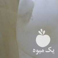 فروش بشکه پلاستیکی 60 لیتری ، خرما ، عرقیات ، رطب در بوشهر در گروه خرید فروش عمده برنج - نیم دانه عنبر بو هاشمی کاظمی هندی پاکستانی در یکمیوه