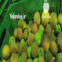 فروش میوه لواشکی و خشک کردنی در اردبیل در گروه میوه های خشک - پرتقال سیب حبه ورق صنعتی خانگی در یکمیوه