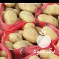 فروش سیب زمینی زرددرجه یک صادراتی در اردبیل در گروه خرید فروش عمده سیب زمینی - زودرس دیررس آگریا اسپریت اردبیل همدان در یکمیوه