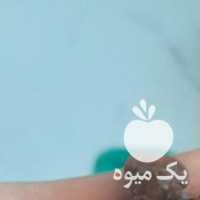 فروش کشمش پاک شده و بدونه دم در تهران در گروه آجیل - فروش عمده محصولات در یکمیوه