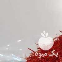 فروش انواع زعفران و زرشک وعناب وهل در تهران در گروه خرید فروش عمده گیاهان زینتی - گرمسیری آپارتمانی باغچه آب در یکمیوه
