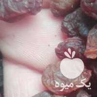 فروش کشمش بیدانه آفتابی ملایر در تهران در گروه آجیل - فروش عمده محصولات در یکمیوه