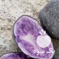 فروش سیب زمینی بنفش در اردبیل در گروه خرید فروش عمده سیب زمینی - زودرس دیررس آگریا اسپریت اردبیل همدان در یکمیوه