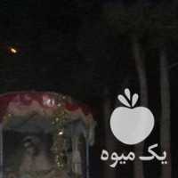 فروش اسب کاسکه در اصفهان در گروه اسب و الاغ خر و فروش قاطر- ترکمن عربی سفید نر و ماده در یکمیوه