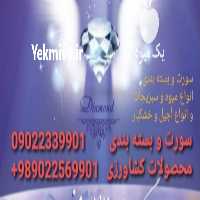 فروش گروه صنایع غذایی دیاموند سورت و بسته بندی در تهران در گروه میوه های خشک - پرتقال سیب حبه ورق صنعتی خانگی در یکمیوه