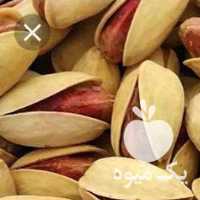 خریدار پسته شیراز بنکداران در دامغان در گروه پسته - کوهی شامی خام اکبری تازه کله قوچی در یکمیوه