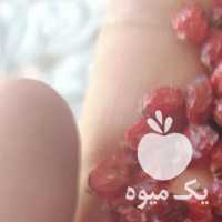 فروش زرشک در بیرجند در گروه خرید فروش عمده ازگیل و تمشک و زرشک - ژاپنی فروش مستقیم در یکمیوه