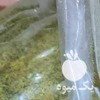 فروش پودر پسته آماده بازار در قزوین در گروه پسته - کوهی شامی خام اکبری تازه کله قوچی در یکمیوه