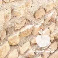 فروش تخم لاری و جوجه لاری یتیغ مشکی و طوسی و کوکو در تهران در گروه مرغ و خروس و بوقلمون و اردک قو قاز در یکمیوه