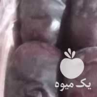 خریدار خرما در ریگان در کرمان  در گروه خرید فروش عمده خرما - کبکاب تازه زاهدی خشک خارک در یکمیوه