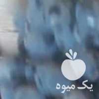 فروش انگورسیاه دیم وحشی سردشت در تهران در گروه خرید فروش عمده انگور - یاقوتی شانی عسگری بی دانه قرمز در یکمیوه