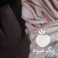 فروش گونی سیب زمینی دست دوم در اردبیل در گروه خرید فروش بسته بندی نایلونی - کیسه نایلکس مشما پلاستیک در یکمیوه