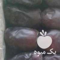 خرماکارتونی 70 عددفروشی در کرمان  در گروه خرید فروش عمده خرما - کبکاب تازه زاهدی خشک خارک در یکمیوه