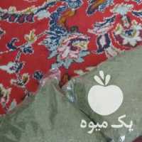 فروش زرشک هل داچین زیره کوهی و شوید در تهران در گروه خرید فروش عمده ازگیل و تمشک و زرشک - ژاپنی فروش مستقیم در یکمیوه