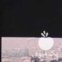 فروش گوسفند زنده در تهران در گروه گاو و گوسفند و میش و بز کهره گوساله سمینتال در یکمیوه