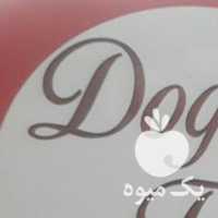 فروش چای سیلان خلال پسته خلال بادام پودر نارگیل و  در تهران در گروه خرید فروش عمده چوب- زغال چوب گردو تبریزی خام در یکمیوه