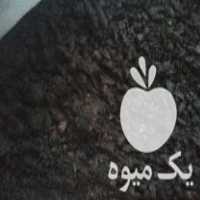 فروش خاک آلی زمین باغچه گلدون قارچ کشی شده با کودNPK مخلوط شده در درود در گروه خرید فروش کود و مواد شیمیایی - اوره پتاس مرغی کمپوست آهن در یکمیوه