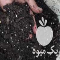 فروش کمپوست ترکیبی کیسه ای در ساری در گروه خرید فروش نهال - انواع گردو پسته بادام سلطانی انگور در یکمیوه