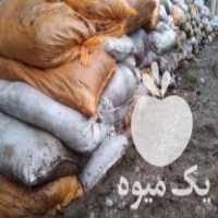 فروش کودحیوانی گوسفندی در عباس آباد در گروه خرید فروش کود و مواد شیمیایی - اوره پتاس مرغی کمپوست آهن در یکمیوه