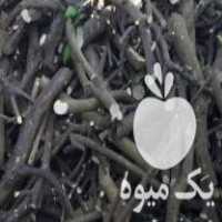 فروش چوب مرکبات شمال در جهرم در گروه خرید فروش عمده چوب- زغال چوب گردو تبریزی خام در یکمیوه