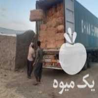 فروش کاه پرس زمین آبی درجه یک در یزد در گروه خوراک دام و طیور - پرواری شیری علوفه یونجه در یکمیوه