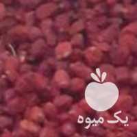 فروش زرشک ، عناب ، پسته و زعفران در مشهد در گروه خرید فروش عمده ازگیل و تمشک و زرشک - ژاپنی فروش مستقیم در یکمیوه