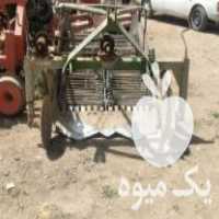 فروش سیب کن سبز دشت در همدان در گروه خرید فروش عمده سیب - زرد و قرمز گلاب پاییزه در یکمیوه