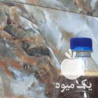 فروش شیره انگور ارگانیک باغ های تاکستان در قزوین در گروه عسل شیره و فرآورده ی مربا - طبیعی گون کوهی آویشن در یکمیوه