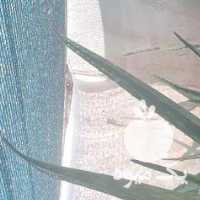 فروش آلوورا در تهران در گروه خرید فروش عمده آلو - آلوچه گوجه سبز زرد خاکی شابلون سانتریزه سیاه در یکمیوه